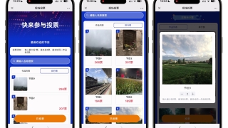 如何有效运用现场大屏投票提升活动参与度