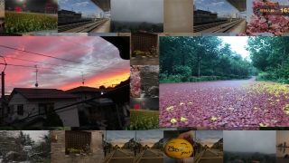 打造梦幻婚礼：如何运用大屏相册提升婚礼情感氛围