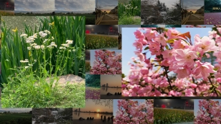 打造令人难忘的大屏相册展示：设计策略与实施细节