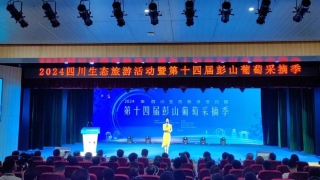 第十四届眉山彭山葡萄采摘季活动开幕